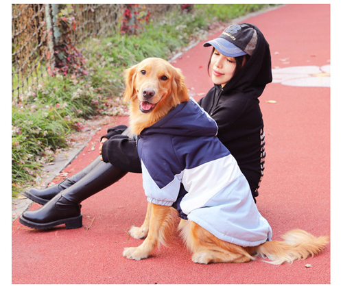 冬の犬用コート