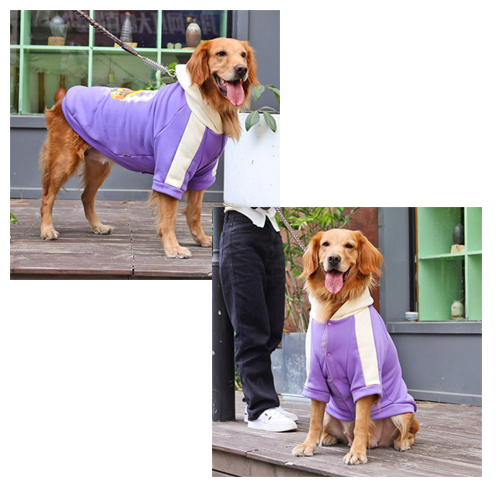 子犬のパーカー