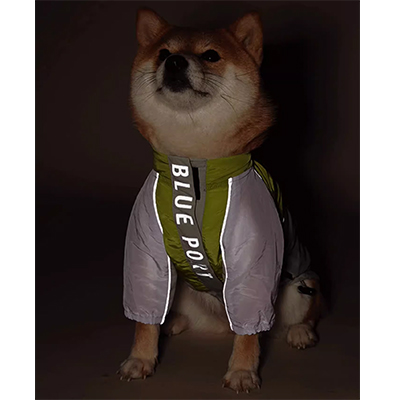 簡単に脱げる反射性犬用ジャケット